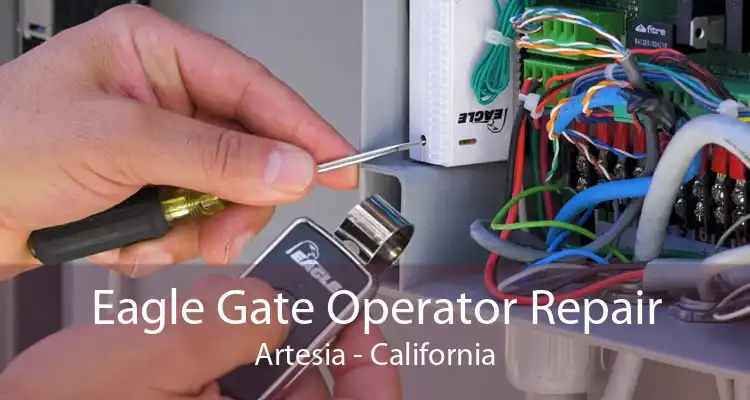 Eagle Gate Operator Repair Artesia - California