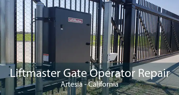 Liftmaster Gate Operator Repair Artesia - California